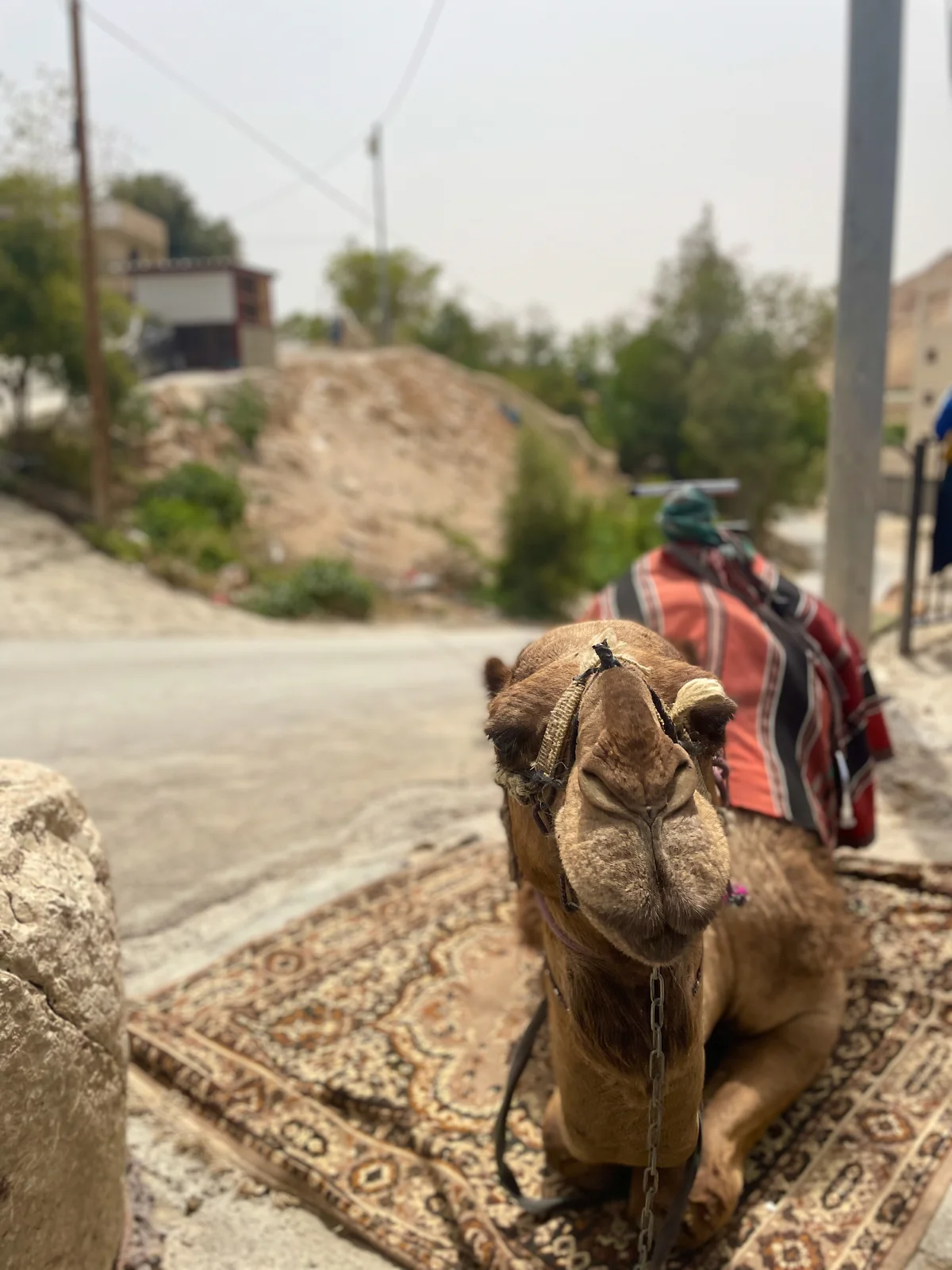 Church of All Nations at Gethsemane - Holy Land Catholic Pilgrimage 2027