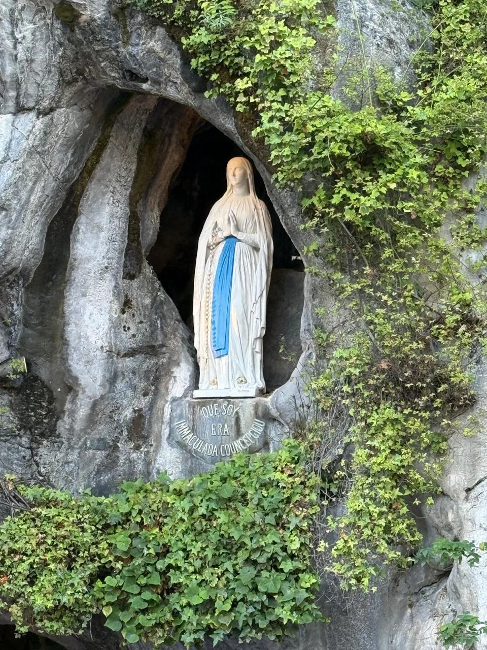 Our Lady of Lourdes: A maternal gaze that accompanies our prayer.