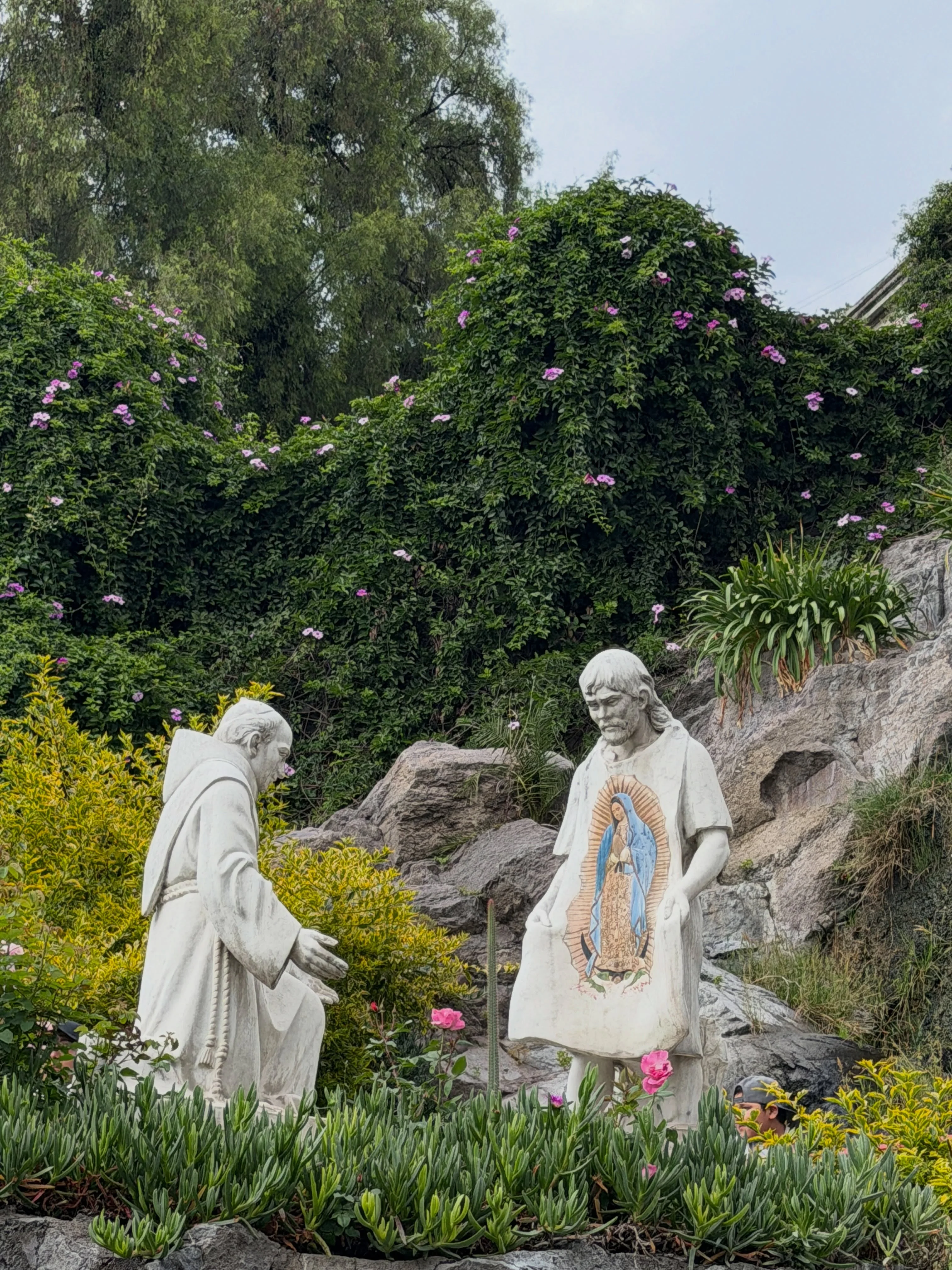 An encounter with Our Lady of Guadalupe that invites renewed faith.